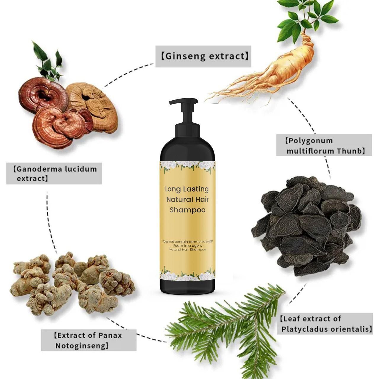 Long Lasting Natural Hair Dye Shampoo - Pack of 2, (Buy 1, Get 1 Free)